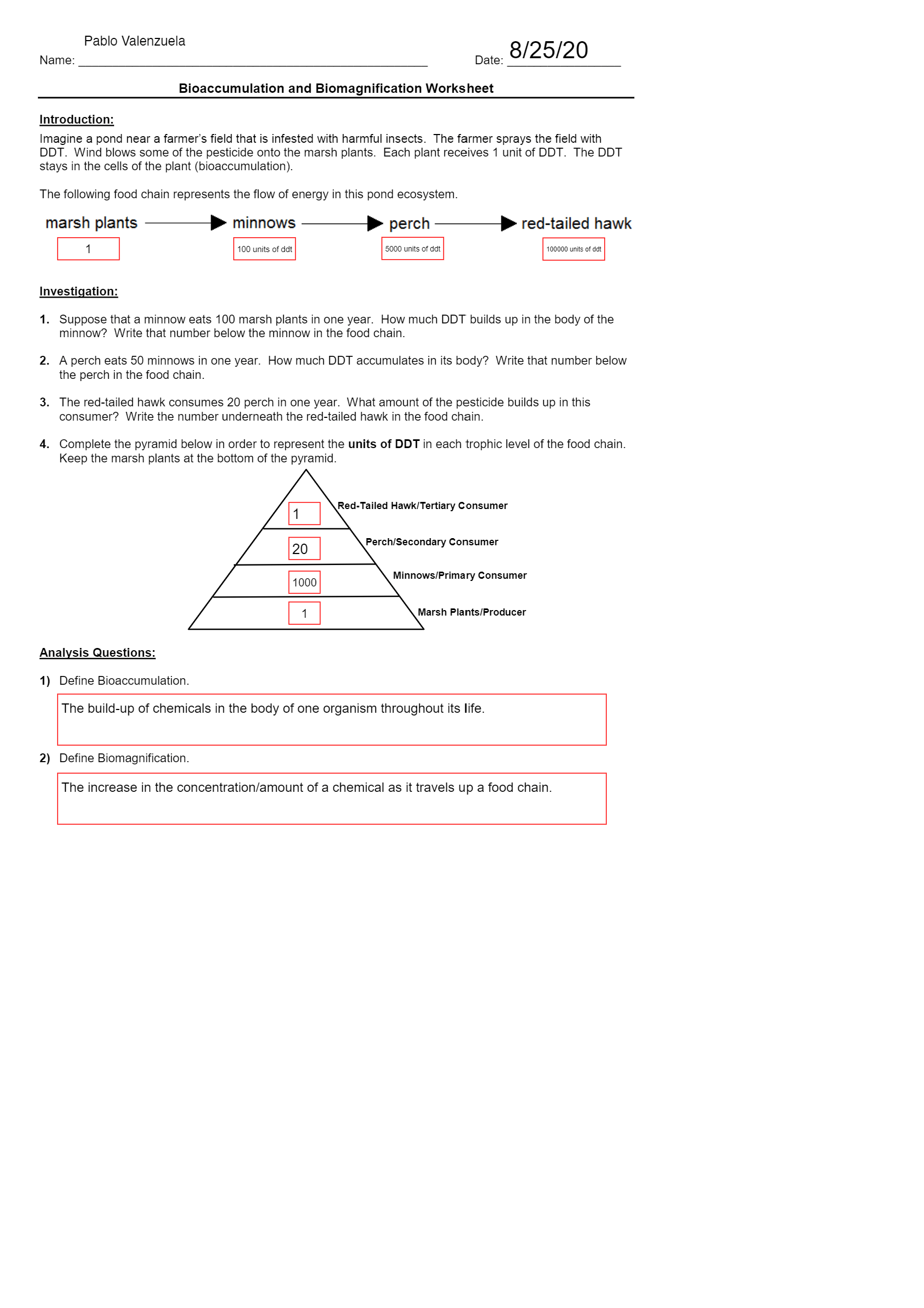 Questions and Answers > Ironwood High School BIO 123 Bioaccumulation and Biomagnification